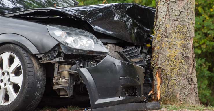 84-year-old Bradenton man dies after crashing into tree on I-75