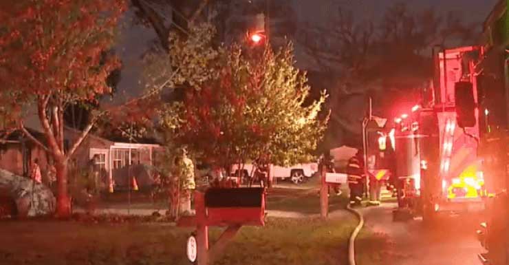 Fire claims lives of two dogs, displaces five adults in Myrtle Grove