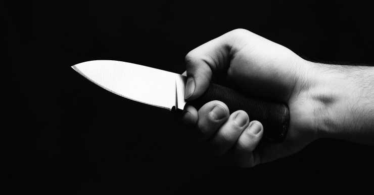 Pinellas County man arrested, accused of stabbing roommate after argument