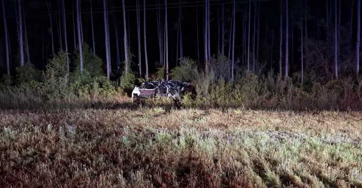 Highway 98 crash leaves 2 dead, 2 injured in Walton County