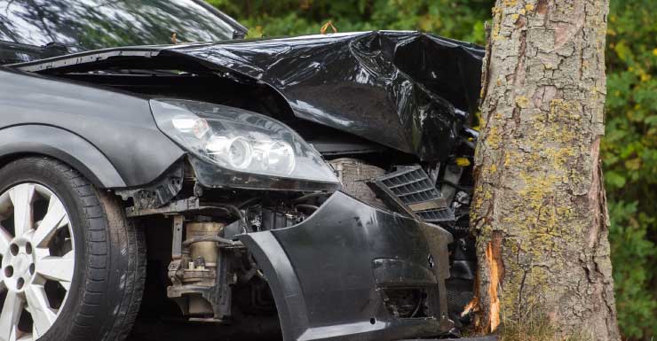 1 person killed in crash along near Micanopy after hitting tree