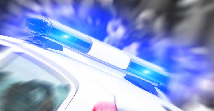 Elementary school substitute teacher, 71, arrested for throwing student in classroom, St. Cloud police say