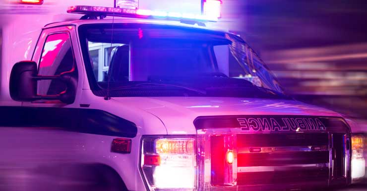 Falling tree kills Ocala man