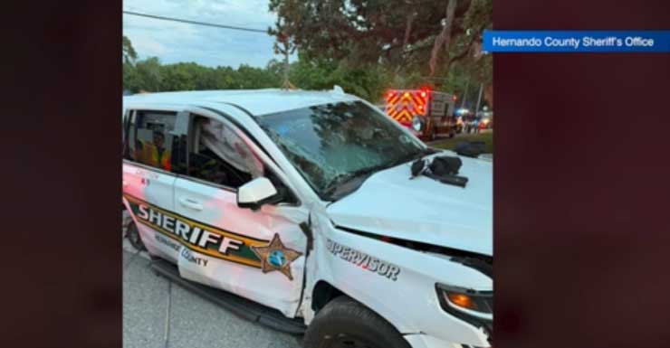 Fleeing suspect collides with Hernando County Sheriff’s Office vehicle with K-9 inside: HCSO