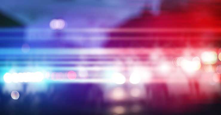 Surveillance video captures assault on TSA officers at Miami airport