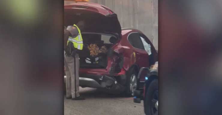 Video: FHP investigates car crash in Boynton Beach