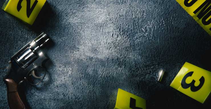 2 men shot, 1 pistol whipped following overnight armed home invasion in Wynwood