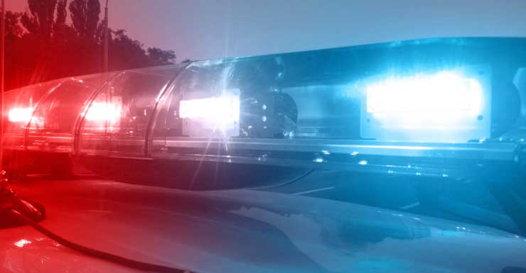 Bay District Schools bus driver arrested for allegedly hitting a child