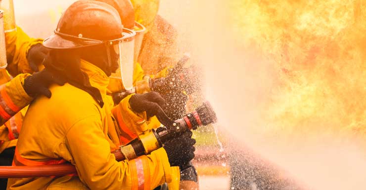 Dogs rescued from Bradenton house fire