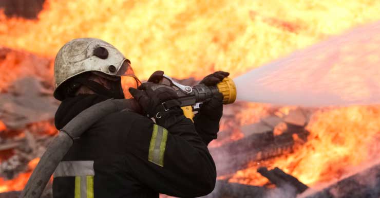 Fire broke out at animal rescue with up to 60 cats inside in Lealman: LFR