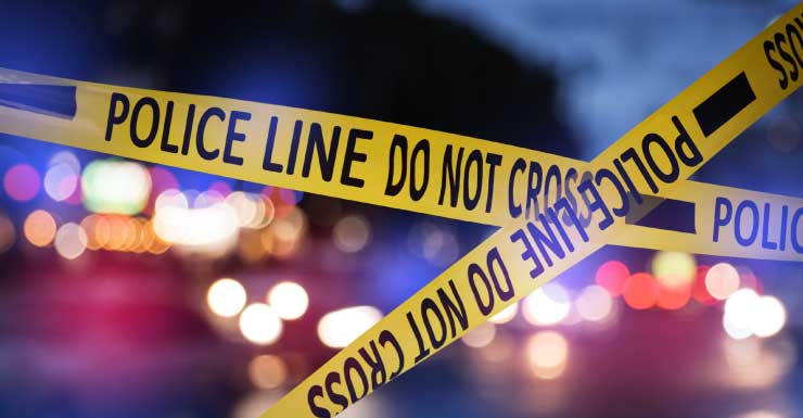 Homeowner shoots at burglar in Hallandale Beach; subject in custody