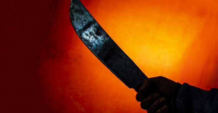 Man accused of attacking his aunt with machete in Fort Myers