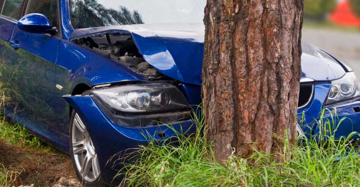 36-year-old man dies after missing curve, hitting tree in Columbia County crash: Florida Highway Patrol.