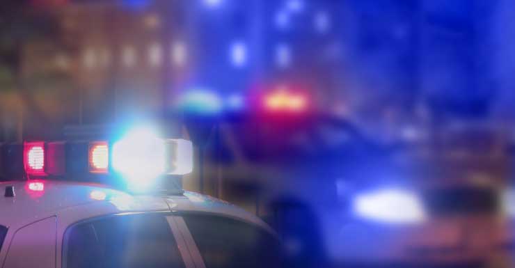 Elderly man brutally attacked and robbed on South Florida bus, attacker gets away