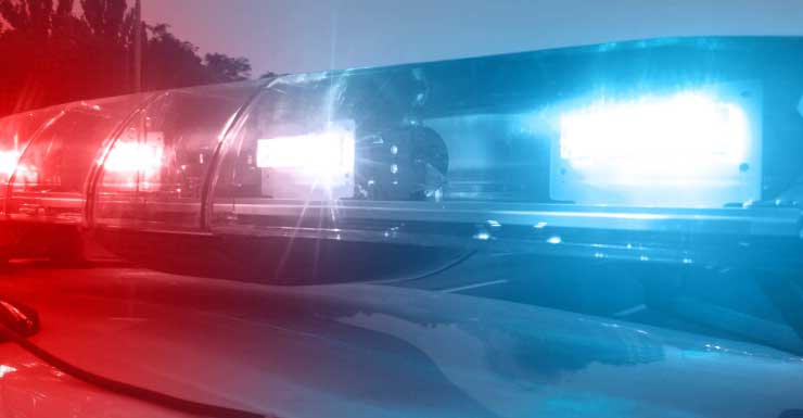 Grandfather allegedly pushes and punches grandson during argument over mental issues