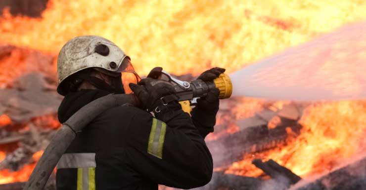 Marion County firefighters rescue 12 dogs from mobile home fire