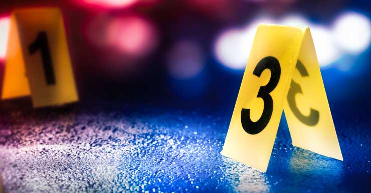 Zephyrhills bar manager chases garbage truck through streets, shoots driver: police