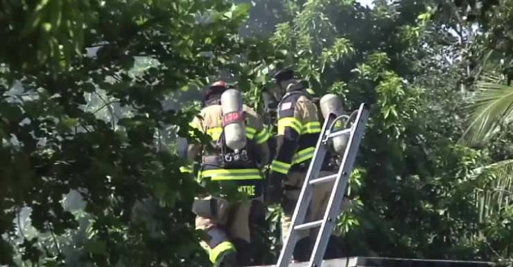 2 dogs rescued from burning Southwest Ranches home; no injuries reported