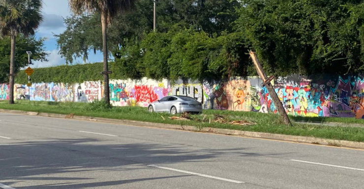 Car crashes into memorial tree honoring Gainesville student murders victims