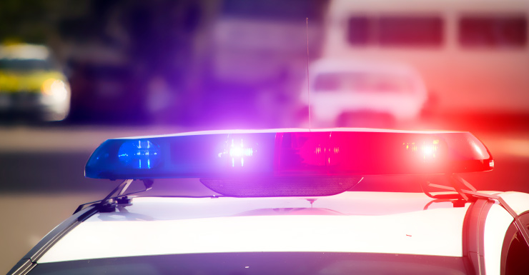 Dania Beach woman beat and took over $100K from elderly tenant with dementia: BSO