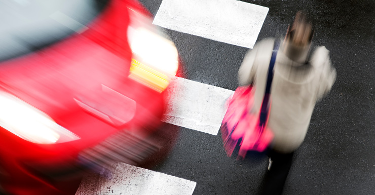 Florida woman struck, killed while checking on opossum