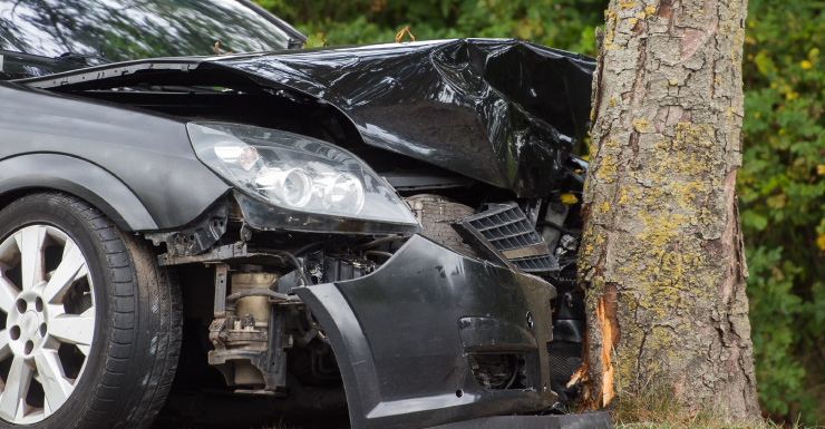Gainesville man dead after vehicle hit a tree