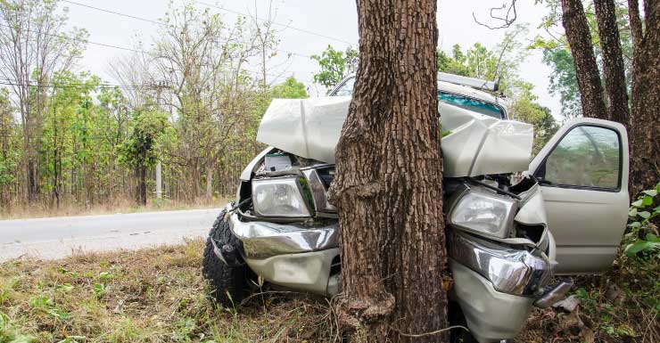 Marianna man dies in collision with trees on State Road 73