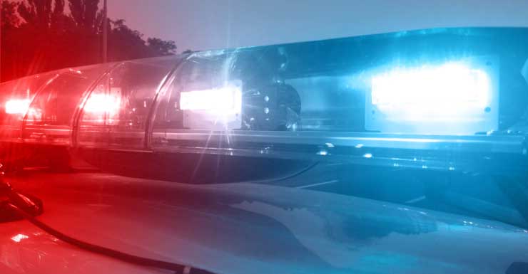 17-year-old arrested after chase along I-75 ends in Babcock wildlife area