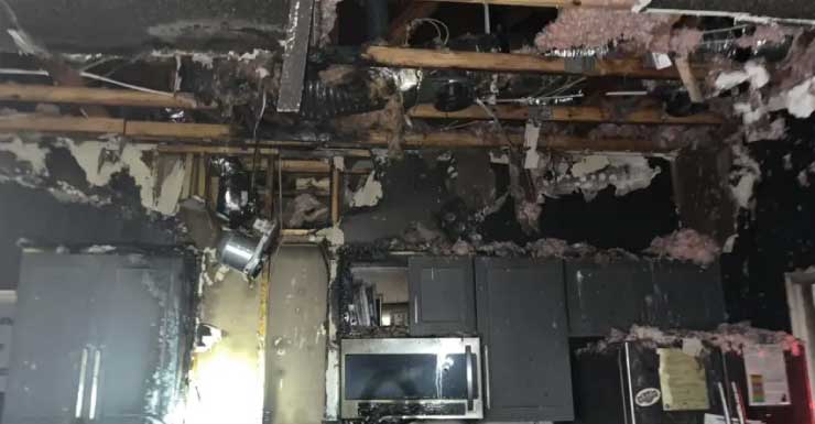5 suffer smoke inhalation, 2 dogs die in Spring Hill house fire