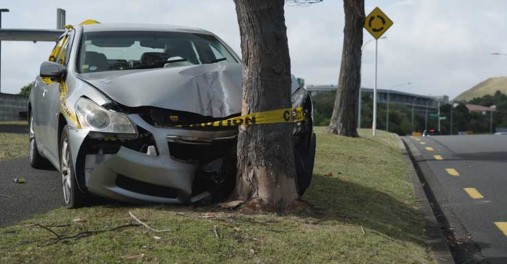 74-year-old Old Town man dies after crashing into tree