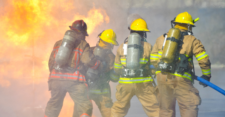 Dog rescued from house fire in Rotonda West