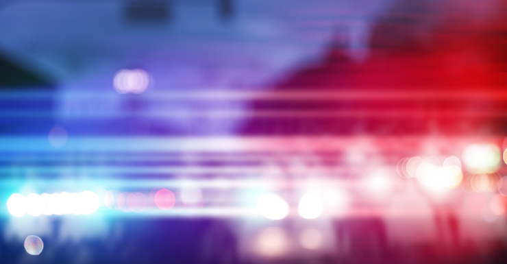 Florida man arrested after allegedly attacking tow truck driver towing girlfriend's car