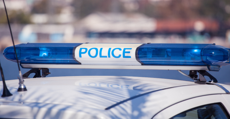 Homeless man pushes restaurant owner into bushes during dine-and-dash incident