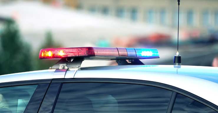 Italian father-son duo arrested at Bayside for punching senior over tour boat seats, cops say