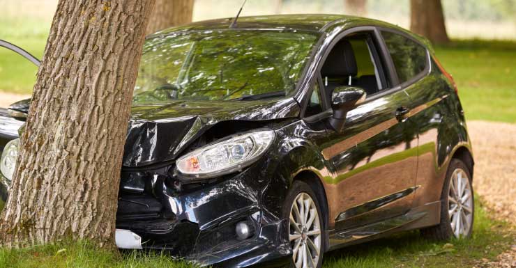 Man dies in overnight crash on I-75 in Hillsborough County after car collides with tree: Florida Highway Patrol 