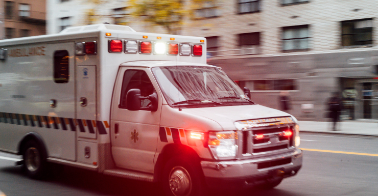 Tree service worker killed after trunk falls during routine cut in Florida