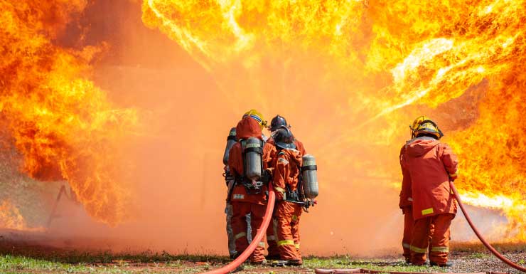 1 injured in Dunedin house fire