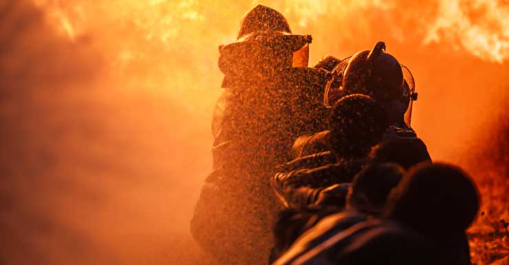 Dog recovering after firefighters pull him from Davie trailer fire; family of 4 displaced