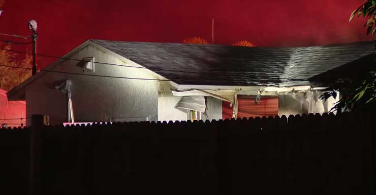 Dogs killed in St. Pete house fire: SPFR