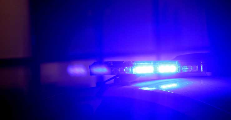 FSCJ student arrested after punching professor in the face, police say