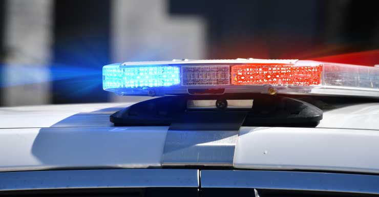 Hialeah woman jailed after mother, 77, found eating own feces, police say