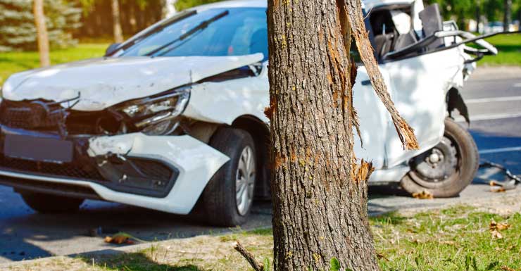Orange County crash leaves 9 children hospitalized after car strikes tree