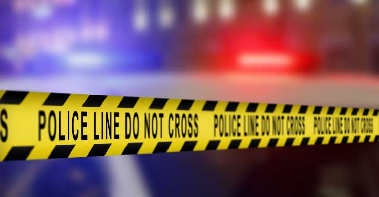 Owner stabbed after dog fight at Brandon apartment’s park deputies