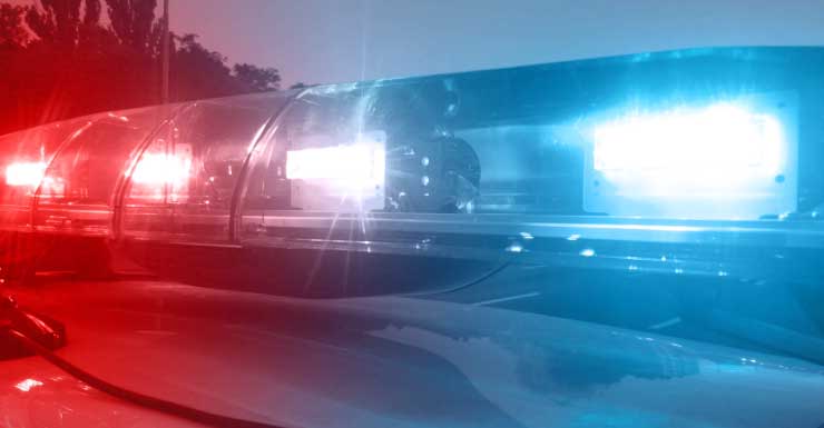 Pair accused of assaulting, robbing senior in Miami’s Shenandoah neighborhood