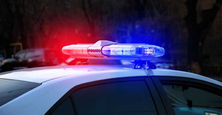 Police: Man lies down on lawn and screams after causing hit-and-run in St. Pete