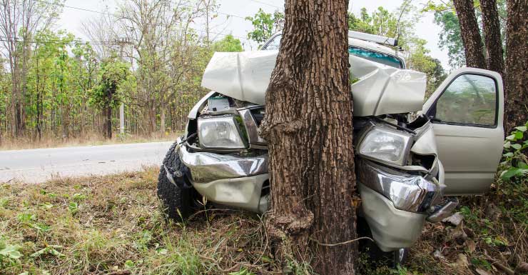 Belleview man killed after crashing car into a tree