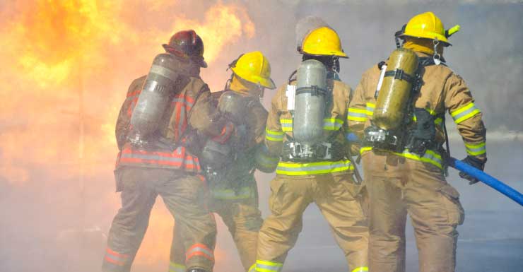 Family dog rescued from Palm Coast house fire recovering at animal hospital