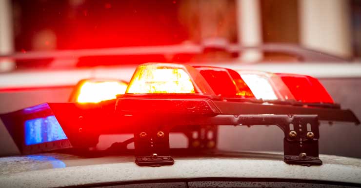 Hollywood Police lieutenant charged with battery of elderly woman: Records