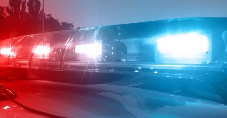 Miami Lakes attorney arrested after allegedly attacking elderly man on cruise