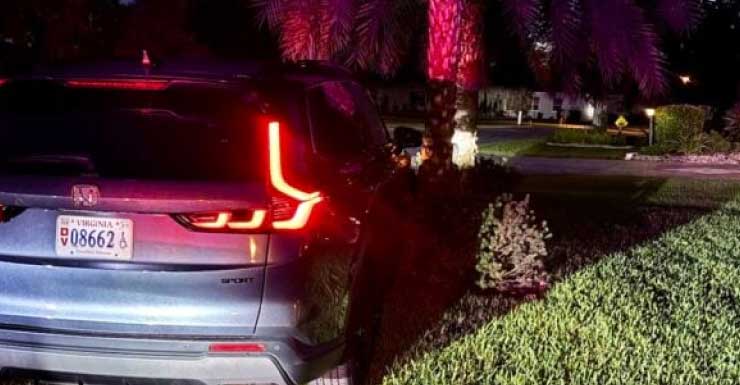 Villager to lose driver’s license after crashing into palm tree